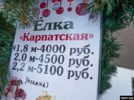 В центре Симферополя продают елки из Прикарпатья: фотофакт