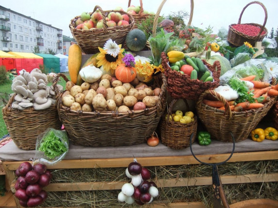 Продуктовые ярмарки киев Продуктовые ярмарки киев