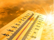 В 2019-м погода в Киеве побила 36 температурных рекордов: аномально теплыми были все 12 месяцев