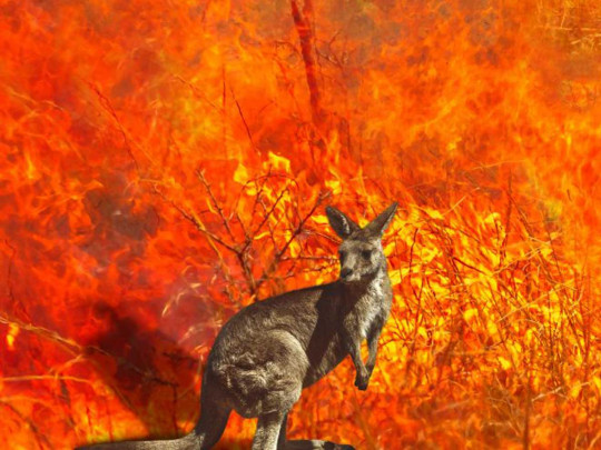 Австралия в огне