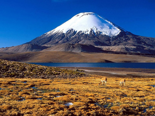 самый высокий в мире вулкан Охос-дель-Саладо