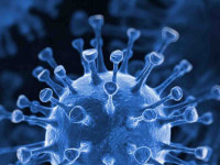 Смертельно опасный коронавирус вырвался за пределы Китая, ВОЗ созывает экстренное совещание 