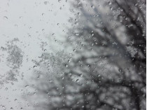 Мокрый снег и дождь: синоптики огорчили прогнозом на конец января