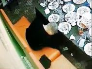 Полицейский обокрал бывших одноклассников на встрече выпускников: видео инцидента в Николаеве