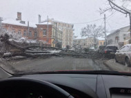 Снежная стихия накрыла Полтаву: в городе массово падают деревья (фото)