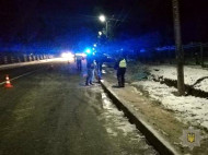 На Львовщине водитель сбил на обочине дороги семью из четырех человек: есть погибшие (фото)