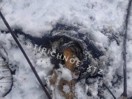 Жуткая находка: возле остановки в Харькове обнаружили человеческий скелет (фото 18+)
