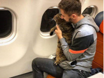 Пассажир самолета с котом