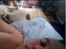 Кошка Мими и Альберт