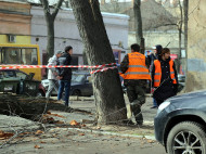 В Одессе рухнувшее из-за ветра дерево убило пенсионерку (фото)