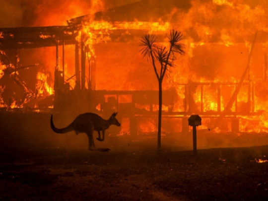 Пожары в Австралии