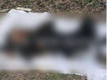 Родные поначалу не удивились пропаже: установлена личность зверски убитой в Харькове женщины