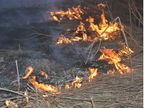 Масштабный пожар повредил опорный пункт ВСУ на Донбассе: появились фото