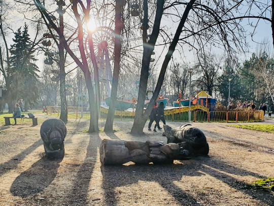 В Запорожье произошла страшная трагедия на детской площадке: погибла 10-летняя девочка (видео)