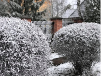Под Ровно выпал мартовский снег: в сети показали яркие фото