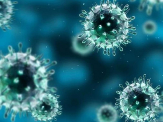 В Украине зафиксировали уже 14 случаев заражения коронавирусом: лидирует Черновицкая область