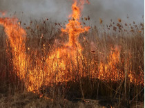 В Украине резко выросло количество природных пожаров: в чем причина (карта)