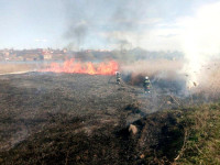 пожар на национальном природном парке под Одессой 