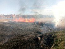 пожар на национальном природном парке под Одессой 
