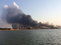 Пожар в природном парке под Одессой