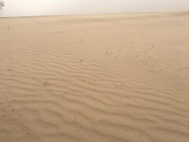 Почти Сахара: появились впечатляющие фото последствий пылевой бури на Черниговщине