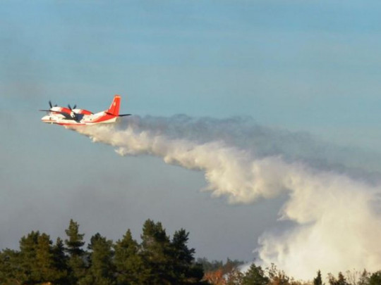 Шокирующая правда: спасатели объяснили, почему не удается потушить пожары на Житомирщине