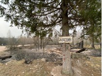 Руины: сгоревшее сео на Житомирщине сняли с дрона (видео)