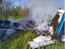 Под Днепром упал самолет, есть жертвы: детали и фото трагедии