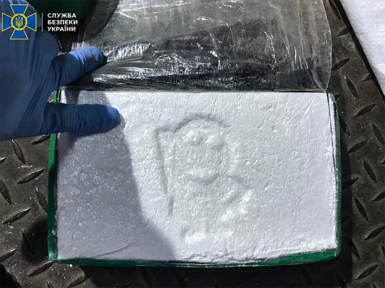 В порту под Одессой обнаружили партию кокаина стоимостью 200 млн гривен (фото, видео)