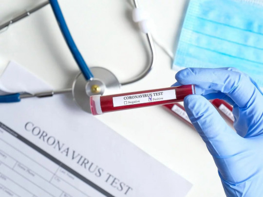 В Украине обнаружили территорию, свободную от коронавируса: медики изучают феномен