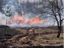 Зараженные частицы могут попасть в легкие: эколог предупредила о последствиях пожаров в Чернобыльской зоне
