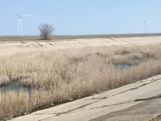 Воды почти нет, все заросло травой: в сети показали свежие фото Северо-Крымского канала
