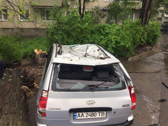 Упавшее дерево уничтожило машину в Киеве: фото последствий ЧП
