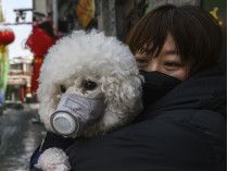Женщина в маске с собакой в респираторе