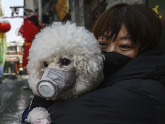 Женщина в маске с собакой в респираторе