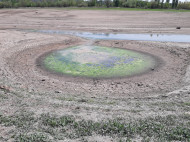 У Зеленского назвали условие для подачи воды в Крым