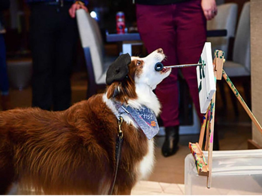 Собака рисует картины