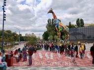 Люди выстроились в огромную очередь: в сети показали фото ажиотажа в открывшемся после карантина киевском зоопарке