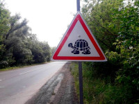 дорожный знак «Осторожно, черепахи!»