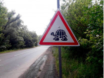 дорожный знак «Осторожно, черепахи!»