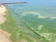 У берегов Одессы зацвело море: купаться и рыбачить в «цветной» воде запрещено (фото)