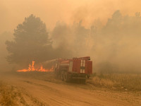 Масштабный лесной пожар на Луганщине: с огнем борются пожарные четырех областей, местных жителей эвакуируют