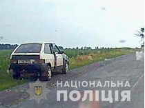 Полиция разыскивает бежевые «Жигули» с черным передним крылом и с 2,5 миллионами гривен (фото, видео) 