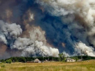 Могли поджечь специально: глава Луганской ОВГА назвал вероятную причину лесных пожаров (видео)