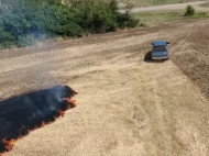 Неизвестные поджигают поля в Луганской области: резонансное видео попало в сеть