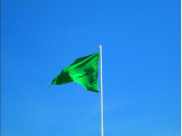 Зеленый флаг на пляже