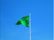 Зеленый флаг на пляже