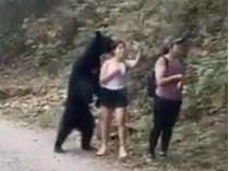 Медведь и туристки