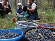 Финляндия запретила въезд украинским заробитчанам