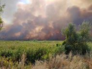 Военного, пропавшего во время тушения пожара на Луганщине, нашли мертвым (фото, видео)